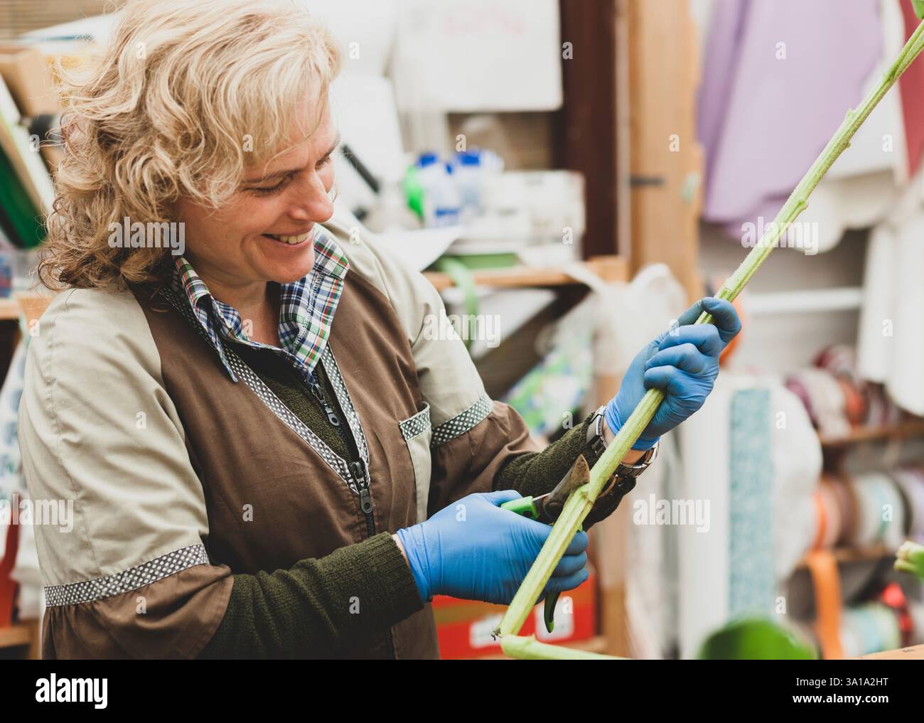 Blumengeschäft mit professionellen Kleidung in einer Baumschule. Konzept der handwerklichen Arbeit mit Blumen. Stockfoto