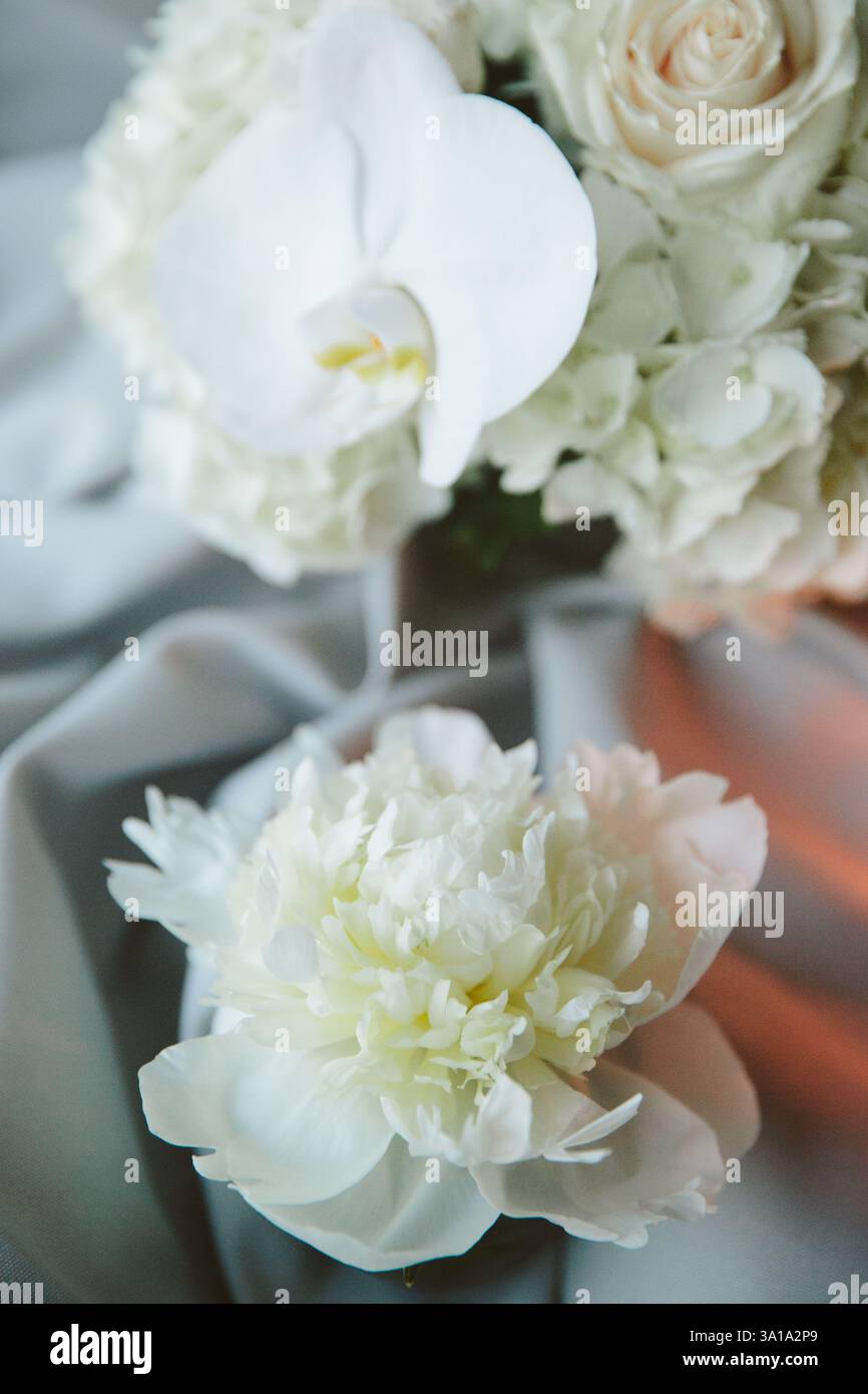 Elegante weiße Blumen schaffen eine ruhige Umgebung mit weichen Texturen, die ideal für besondere Anlässe sind. Stockfoto