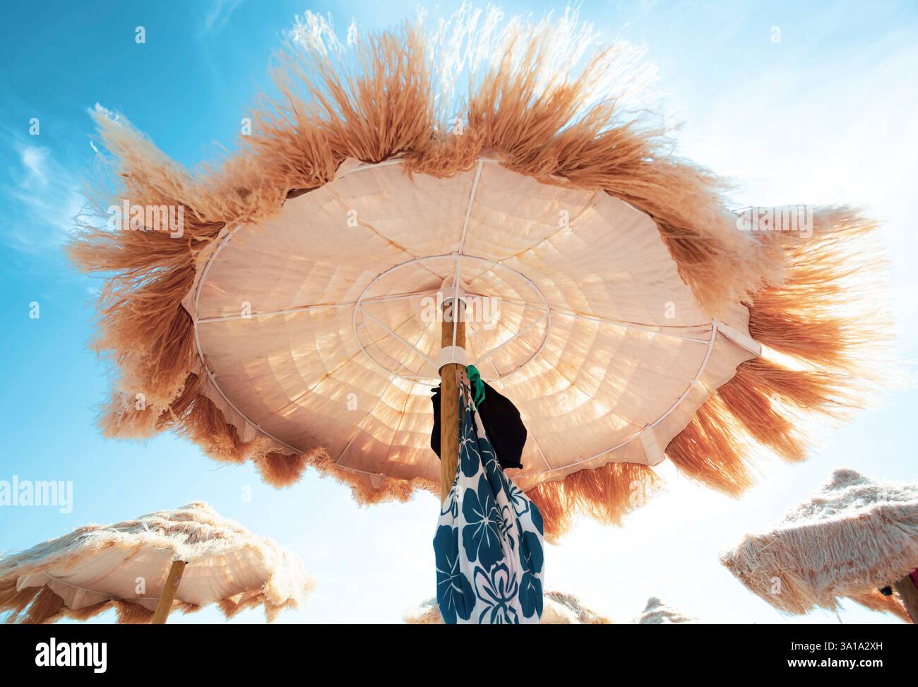 Ansicht von Unten Der schöne strohgedeckten Sonnenschirmen am Strand, tolle Erholung und Entspannung. Stockfoto