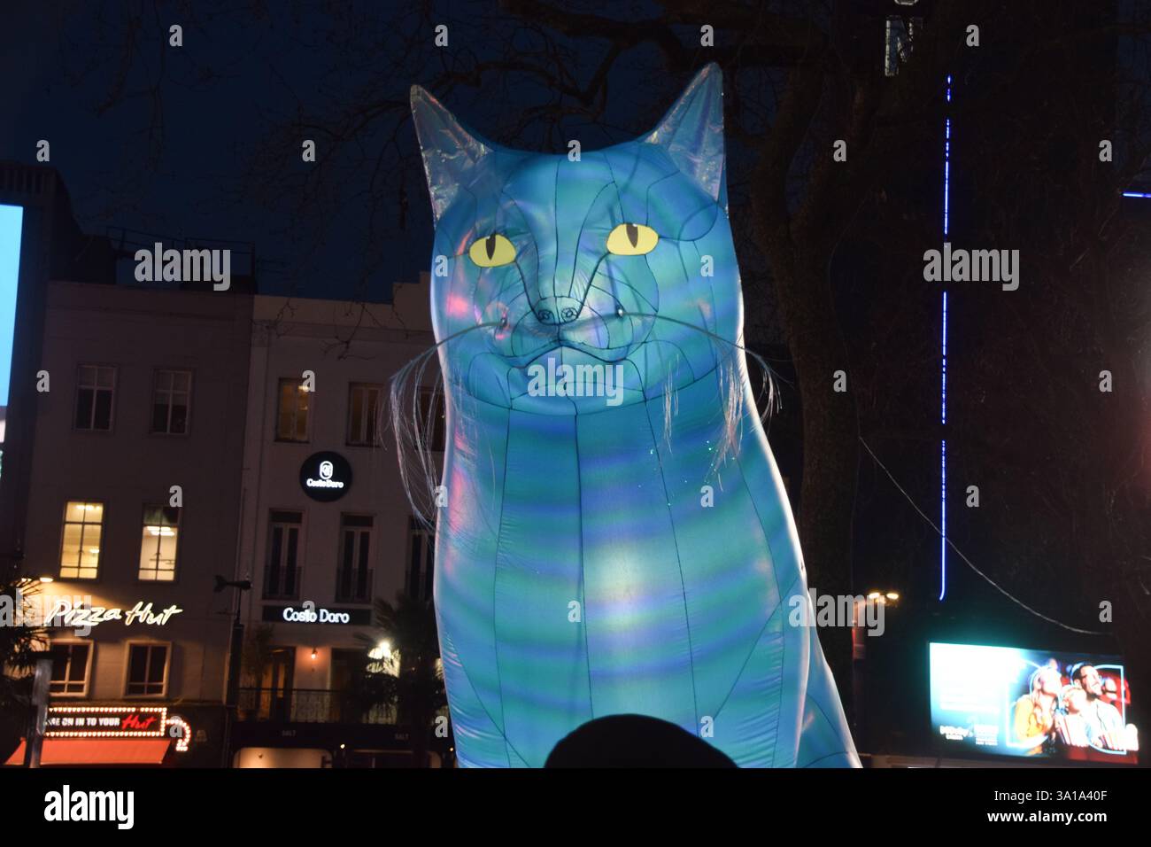 London, Großbritannien. März 2025. Kunstinstallation inspiriert von Schrodingers Katze im Piccadilly Circus, Teil von Piccadilly UN:plugged kuratiert von Nelly Ben Hayoun-Stepanian, Gründer des International Space Orchestra der NASA. Quelle: Vuk Valcic/Alamy Live News Stockfoto