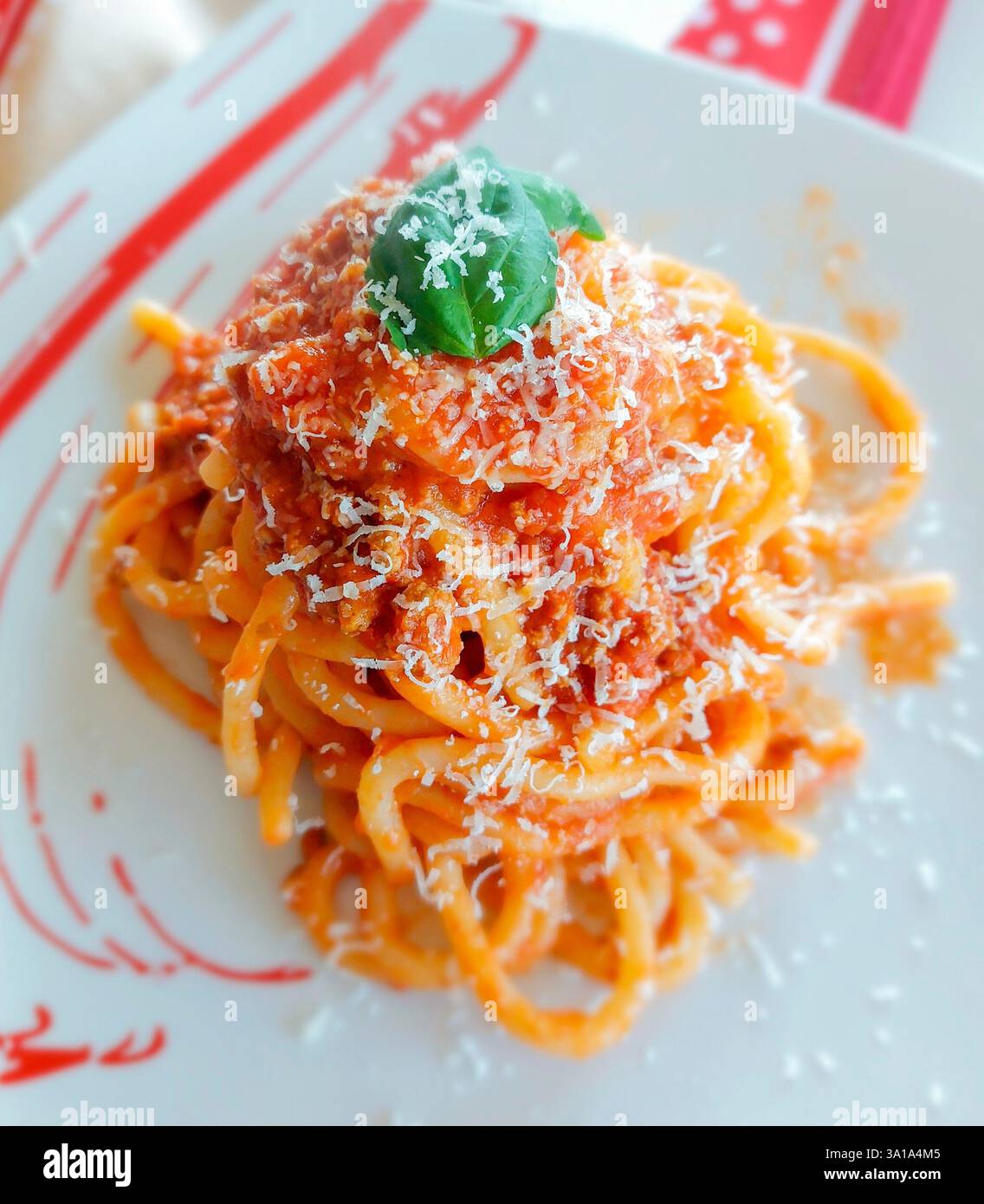 Pici-Pasta mit Fleischsoße, garniert mit frischem Basilikum und geriebenem Parmesan, präsentiert auf einer weißen Platte Stockfoto
