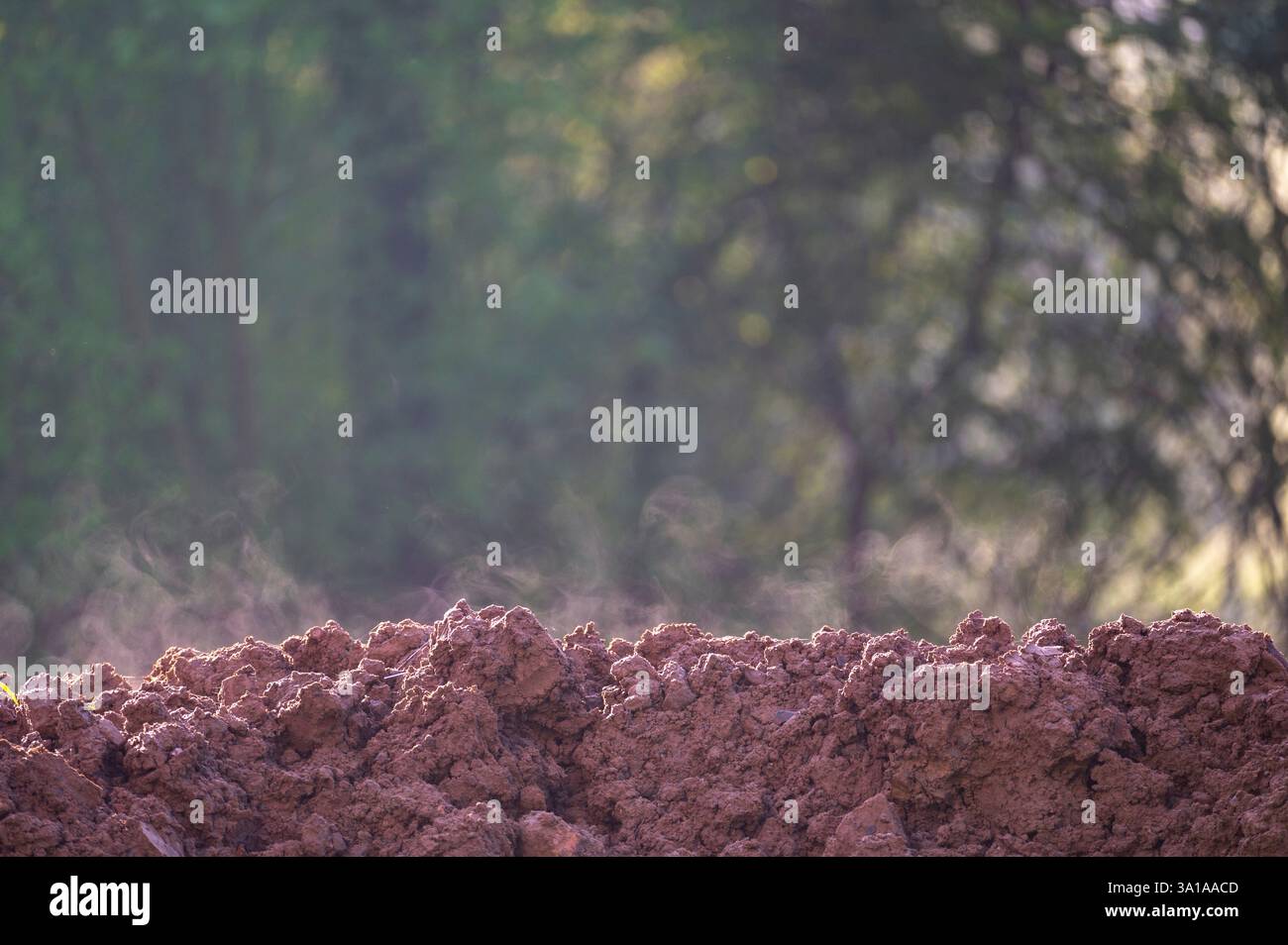 Frischer dampfender Erdboden in grüner Natur Stockfoto
