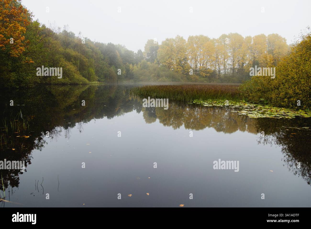 Budschimoor-See, Fröruper Berge, Oeversee Stockfoto