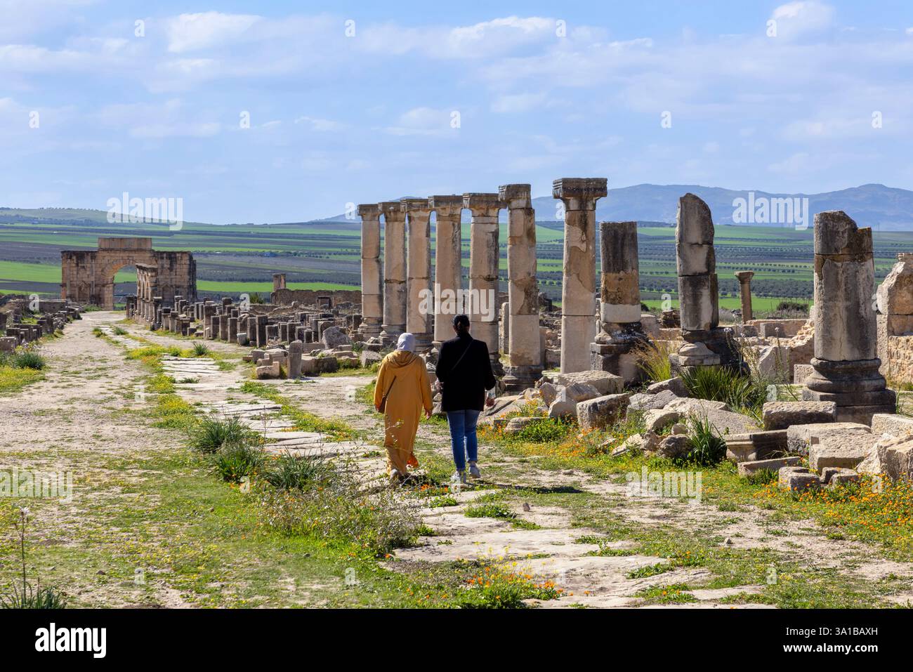 Volubilis, ein UNESCO-Weltkulturerbe in der Nähe von Meknes, Marokko, ist eine gut erhaltene römische Stadt mit Ruinen, die das Erbe des Römischen Reiches im Norden zeigen Stockfoto