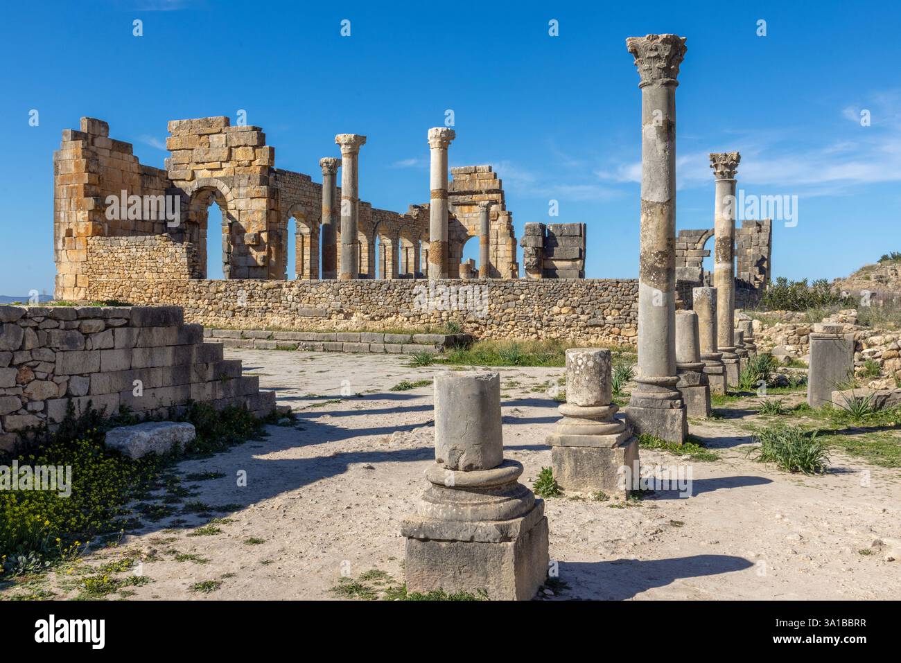 Volubilis, ein UNESCO-Weltkulturerbe in der Nähe von Meknes, Marokko, ist eine gut erhaltene römische Stadt mit Ruinen, die das Erbe des Römischen Reiches im Norden zeigen Stockfoto