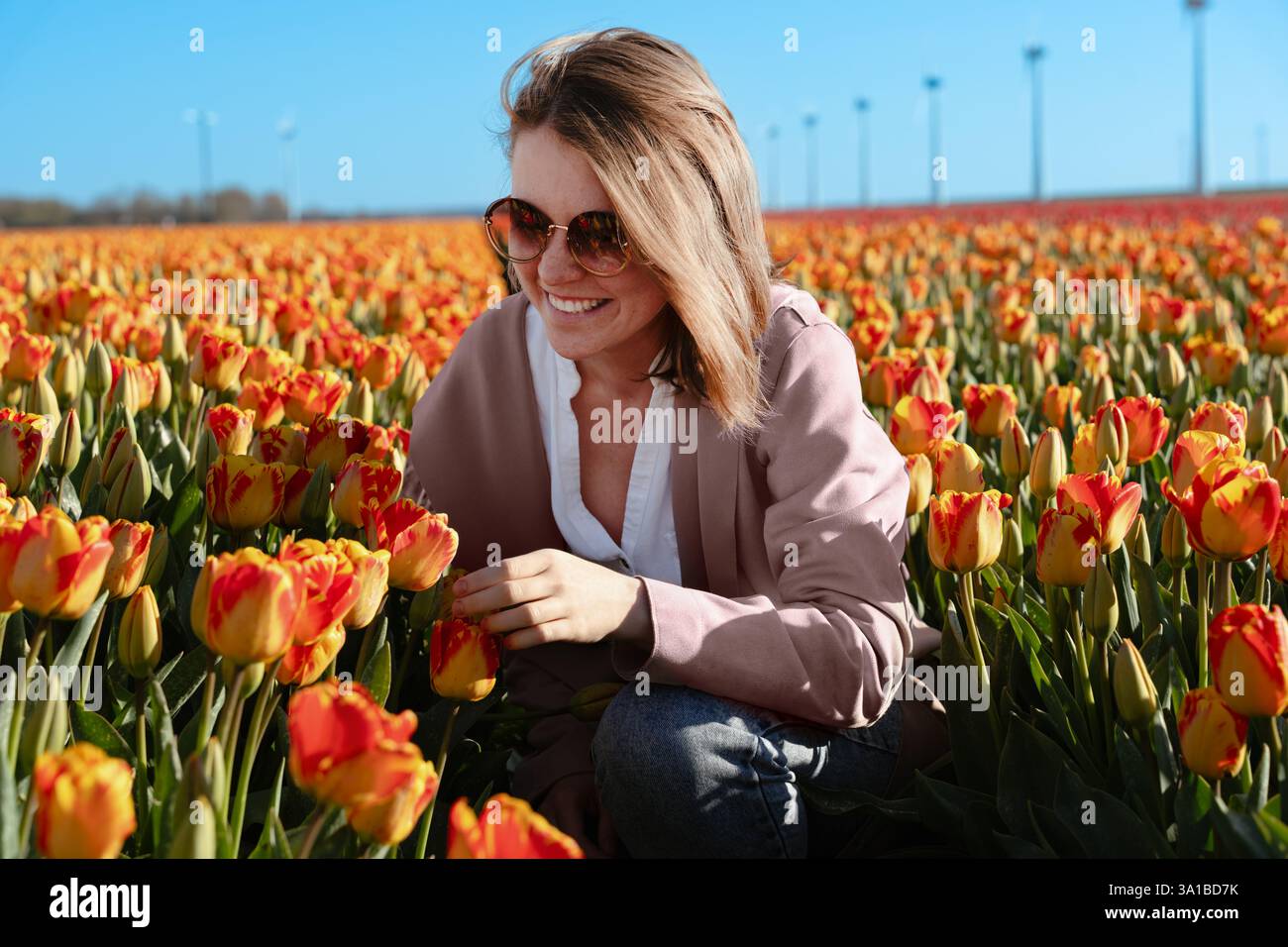 Eine Frau hockt sich in einem Tulpenfeld und berührt leicht eine Blume, während sie das warme Sonnenlicht an einem hellen Frühlingstag genießt. Stockfoto