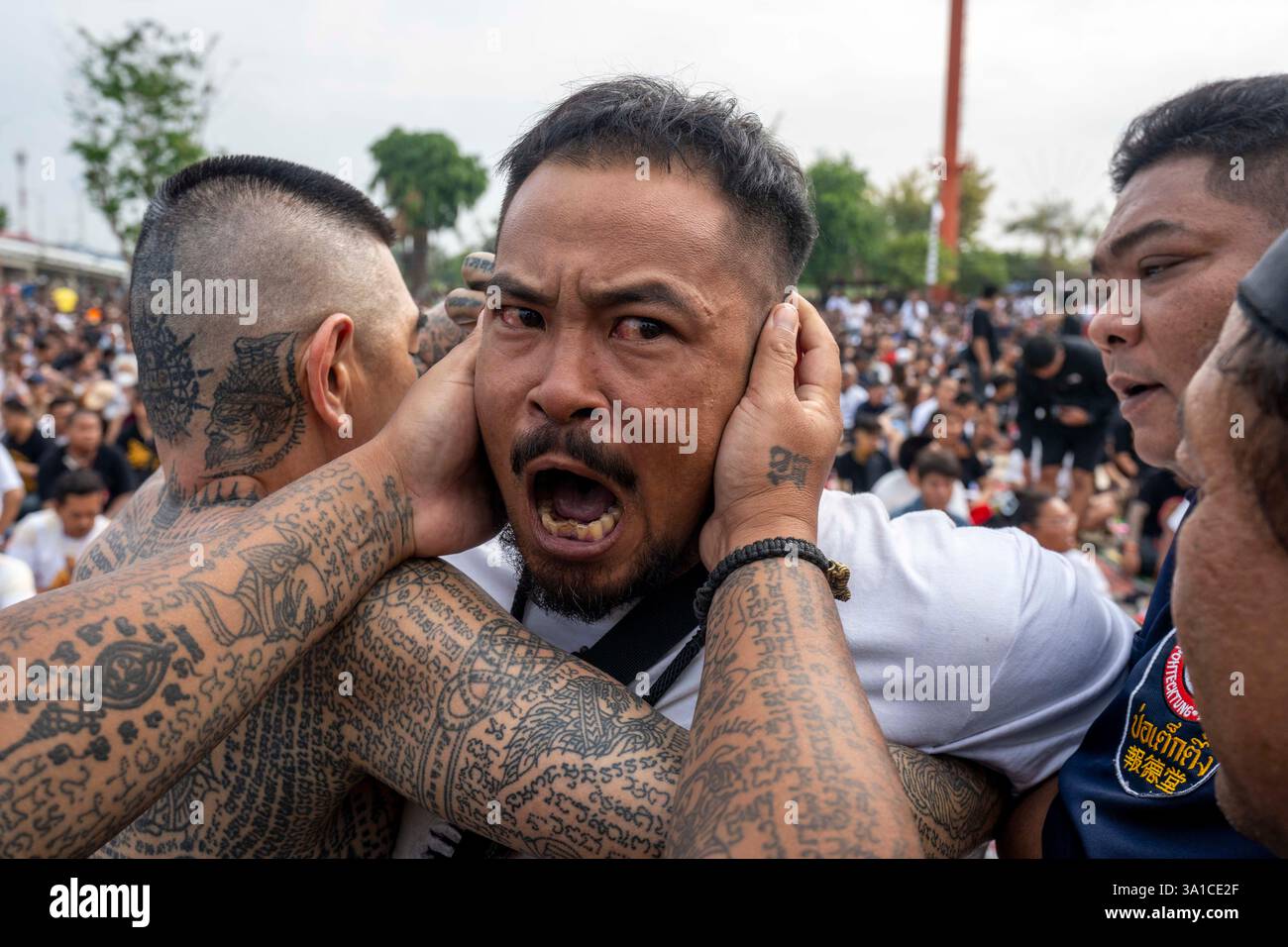 Bang Phra, Nakhon Pathom, Thailand. März 2025. Ein Gläubiger, der Sak Yant Tattoos trägt, Gerät in einen Zustand gewalttätiger Geisterbesessenheit und wird von den Teilnehmern während der jährlichen Wai Kru Zeremonie im Wat Bang Phra in Nakhon Pathom, Thailand, zurückgehalten. Der Tempel Wat Bang Phra, 40 km von der thailändischen Hauptstadt Bangkok entfernt, findet einmal im Jahr die Wai Gru Zeremonie statt. Der Name des Tempels wird übersetzt mit Kloster des Flussufers Buddha Bild. Sak Yant Tattoos sind hochstilisierte Tattoos buddhistischer Gebete und religiöser Symbole, die den Gläubigen, die sie einsetzen lassen, besonderen Schutz und andere Vorteile bieten Stockfoto