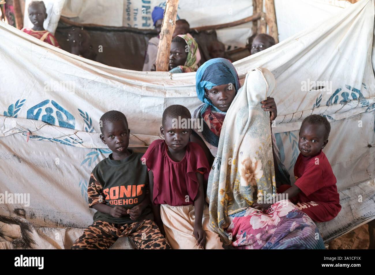 SÜDSUDAN, Oberer Nil Staat, Grenzstation Joda bei Renk, UNHCR Flüchtlingstransitzentrum für Flüchtlinge aus dem Sudan Krieg, nach Registrierung werden sie in Lager in Renk, Malakal und anderen Regionen transportiert / SÜDSUDAN, Oberer Nil Staat, Flüchtlinge aus dem Sudan suchen Schutz vor dem Krieg, Grenzort Joda an der Grenze zum Sudan, UNHCR Transitlager für Flüchtlinge Stockfoto