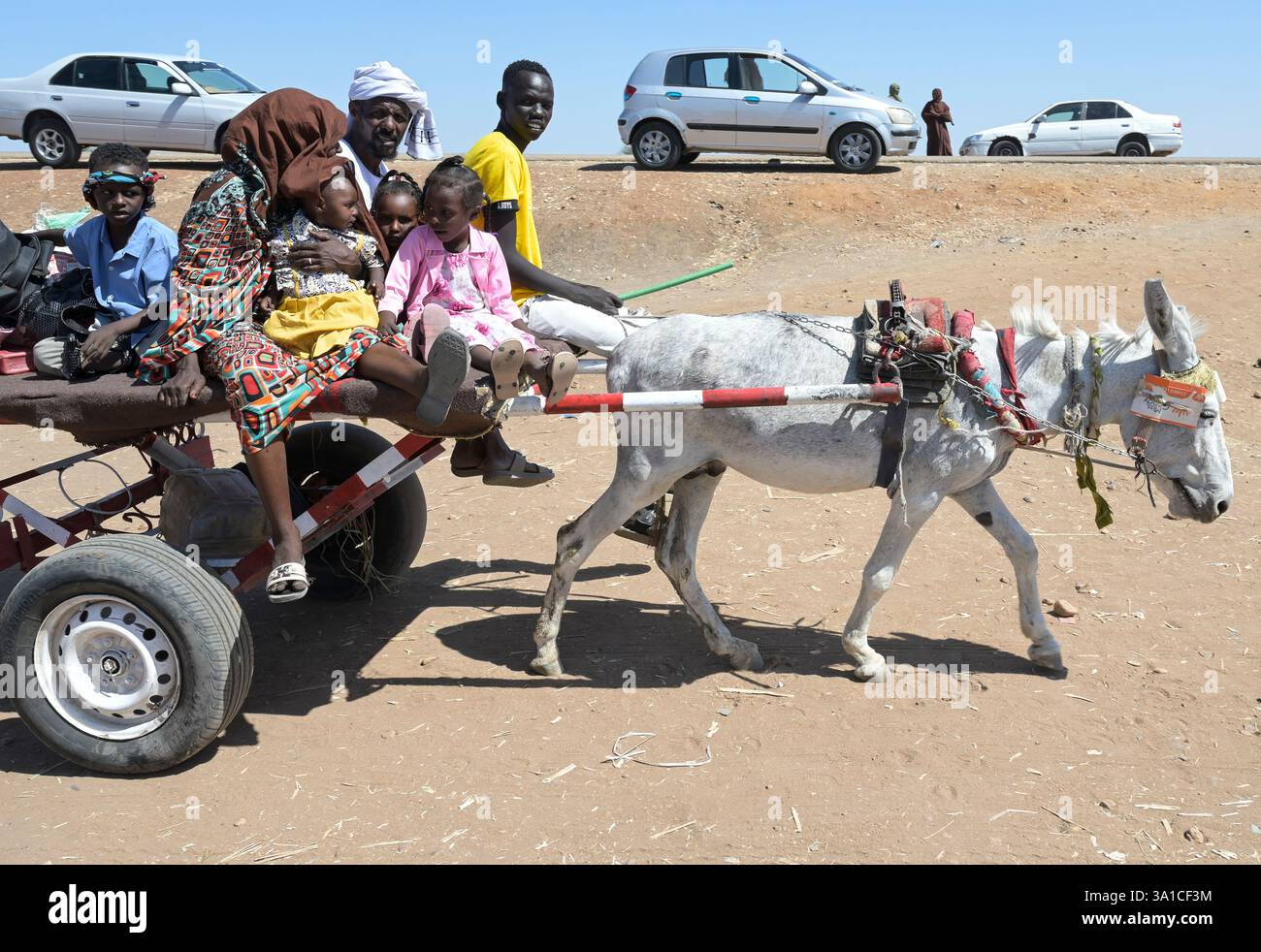 SÜDSUDAN, Oberer Nilstaat, Grenzstation Joda bei Renk, Grenzübergang für Kriegsflüchtlinge aus Sudan, Ankunft einer Familie mit Eselkarre / SÜDSUDAN, Oberer Nilstaat, Grenzort Joda an der Grenze zum Sudan, Flüchtlinge aus dem Sudan suchen Schutz vor dem Krieg, Ankunft einer Familien mit Eselskarren Stockfoto