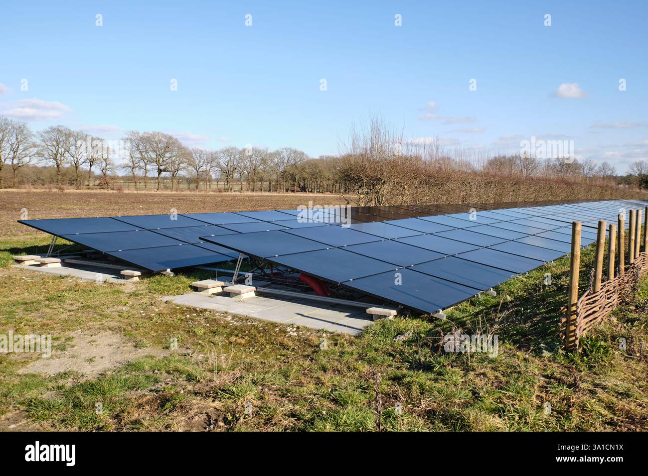 2. März 2025 - Borger, Niederlande: Zwei Reihen von Solarpaneelen in einer natürlichen Landschaft nahe dem Hunebedcentrum, die Nachhaltigkeit mit n verbinden Stockfoto