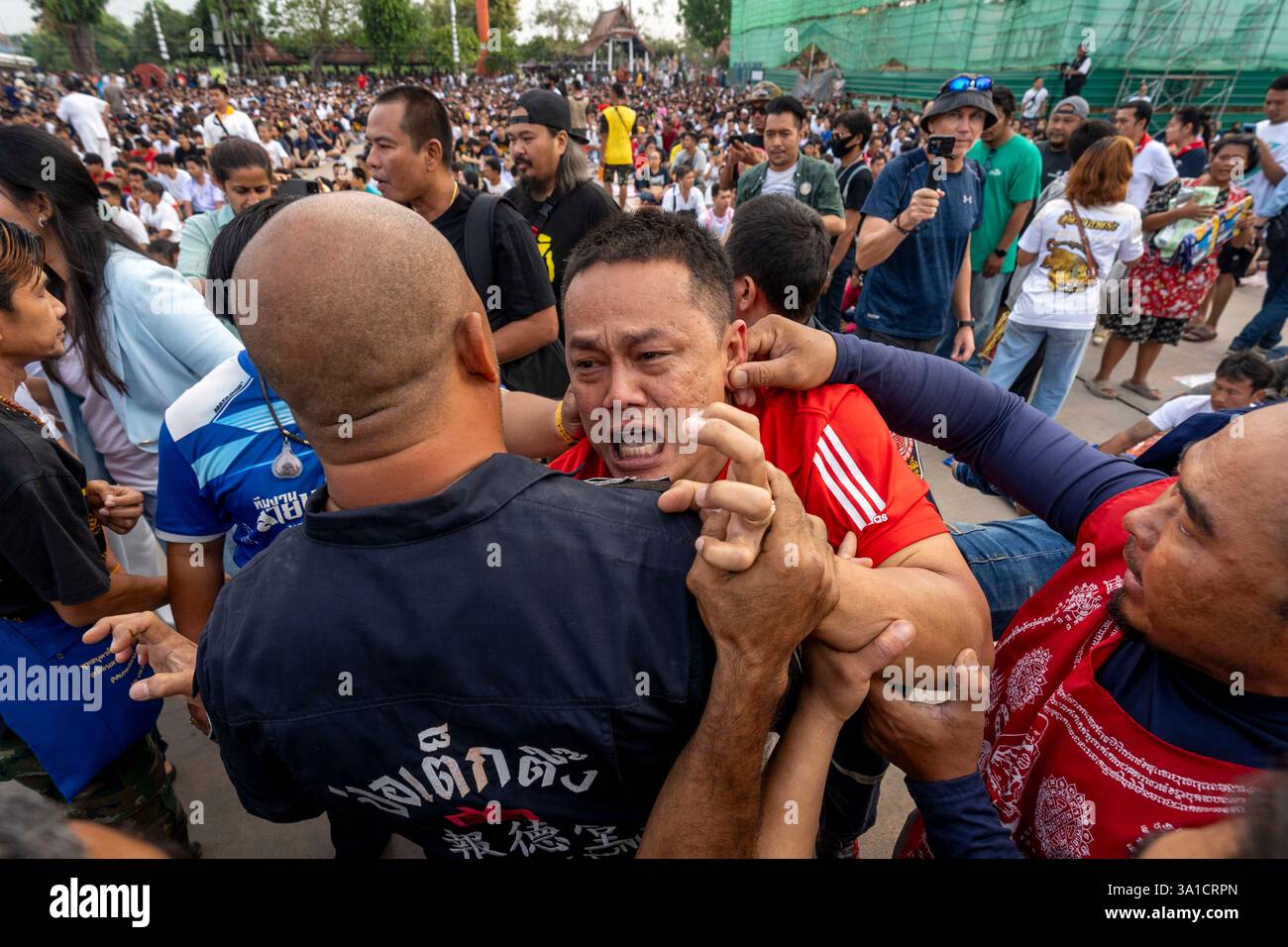 Bang Phra, Nakhon Pathom, Thailand. März 2025. Ein Gläubiger, der Sak Yant Tattoos trägt, Gerät in einen Zustand gewalttätiger Geisterbesessenheit und wird von den Teilnehmern während der jährlichen Wai Kru Zeremonie im Wat Bang Phra in Nakhon Pathom, Thailand, zurückgehalten. Der Tempel Wat Bang Phra, 40 km von der thailändischen Hauptstadt Bangkok entfernt, findet einmal im Jahr die Wai Gru Zeremonie statt. Der Name des Tempels wird übersetzt mit Kloster des Flussufers Buddha Bild. Sak Yant Tattoos sind hochstilisierte Tattoos buddhistischer Gebete und religiöser Symbole, die den Gläubigen, die sie einsetzen lassen, besonderen Schutz und andere Vorteile bieten Stockfoto