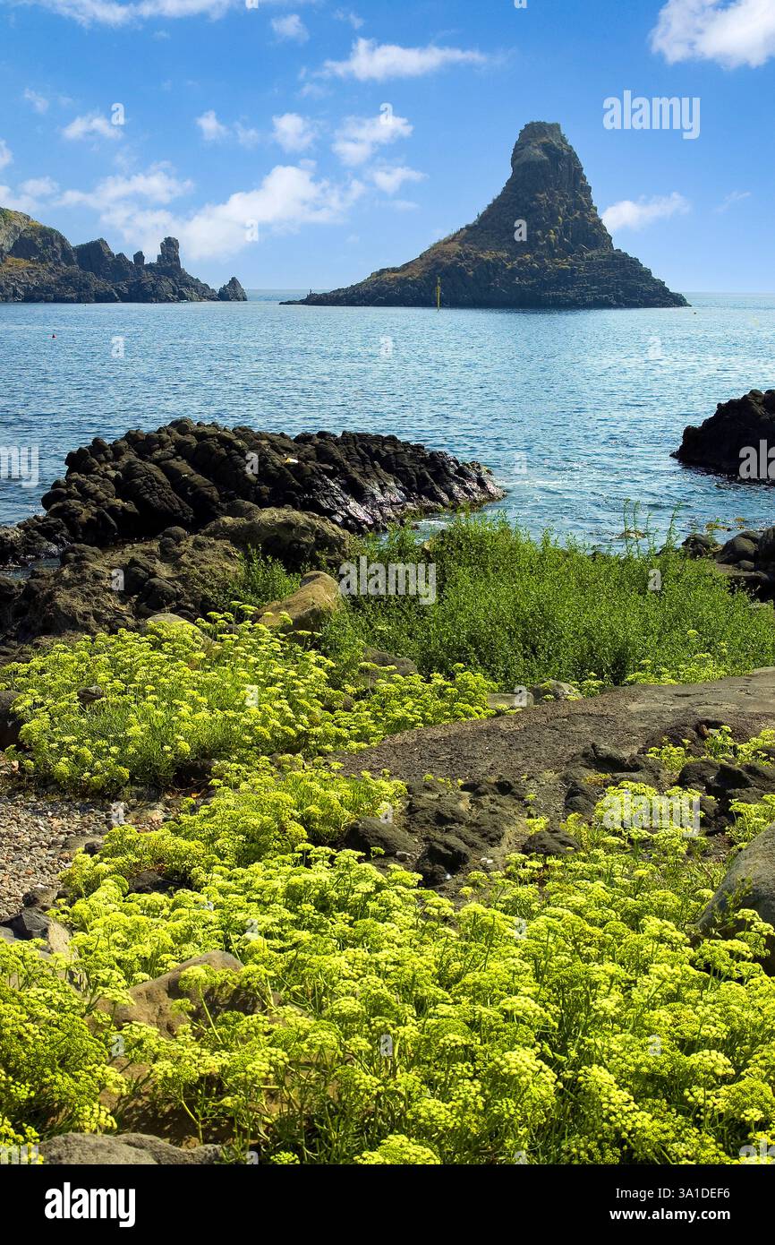 Italien, Sizilien, Acitrezza, die Klippen der Insel Zyklopen Stockfoto