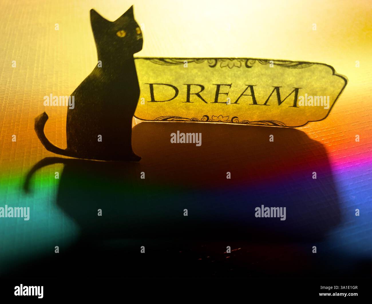 Konzeptuelle Collagekunst einer schwarzen Katze neben dem Text „Dream“ Stockfoto