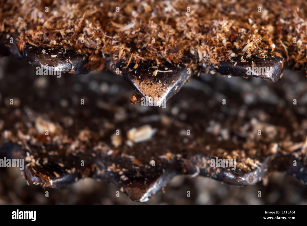 Nahaufnahme einer Metallbandsäge mit ungleichmäßigen Zähnen, mit Sägemehl beschichtet, für die Holzverarbeitung Stockfoto