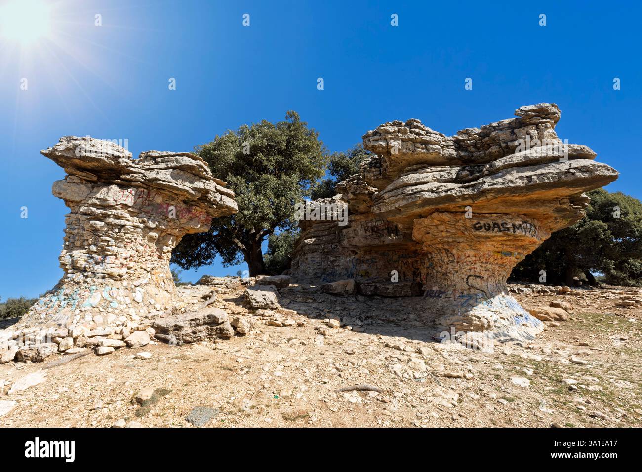 Die karge und nomadische Landschaft von Tisfoula in der Nähe von Ain Leuh ist durch erodierte dolosteinartige Felstürme charakterisiert, die wie Pilze geformt sind. Stockfoto