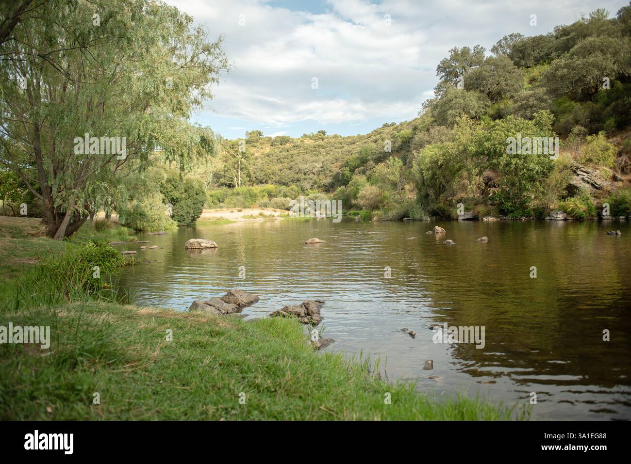 Wunderschöner Blick auf den See von einem kleinen See in Schweden, mit üppig grünen Bäumen, blauem Himmel und Sonnenlicht. Stockfoto
