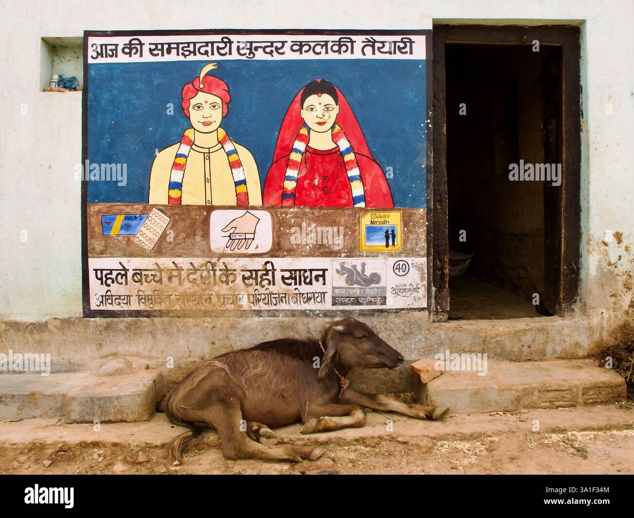 Ein Wandbild für Familienplanung in Bakraur-Sujata, Bodh Gaya, Bihar, mit einem Wasserbüffel darunter. Stockfoto
