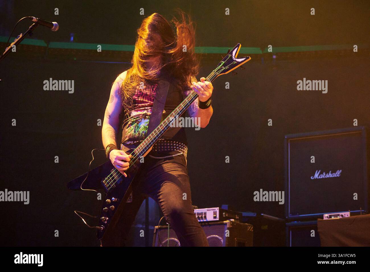 los-electrikeel-during-their-concert-at-the-kingdom-of-rock-festival