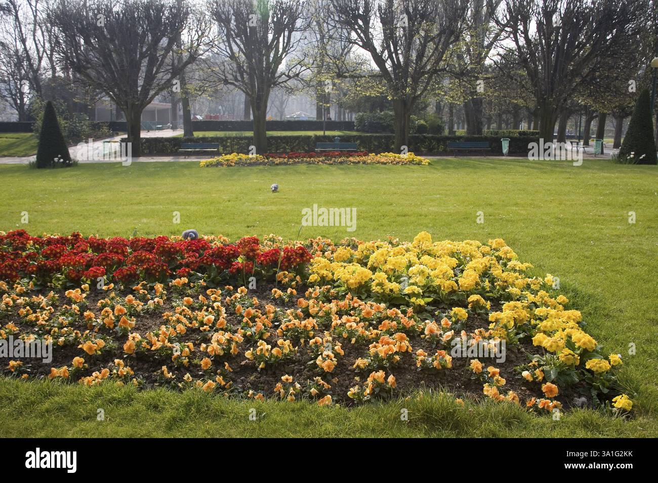 Gelbe rote Blumen und grünes Gras im Garten Palace de Italia, Paris, Frankreich, Europa Stockfoto