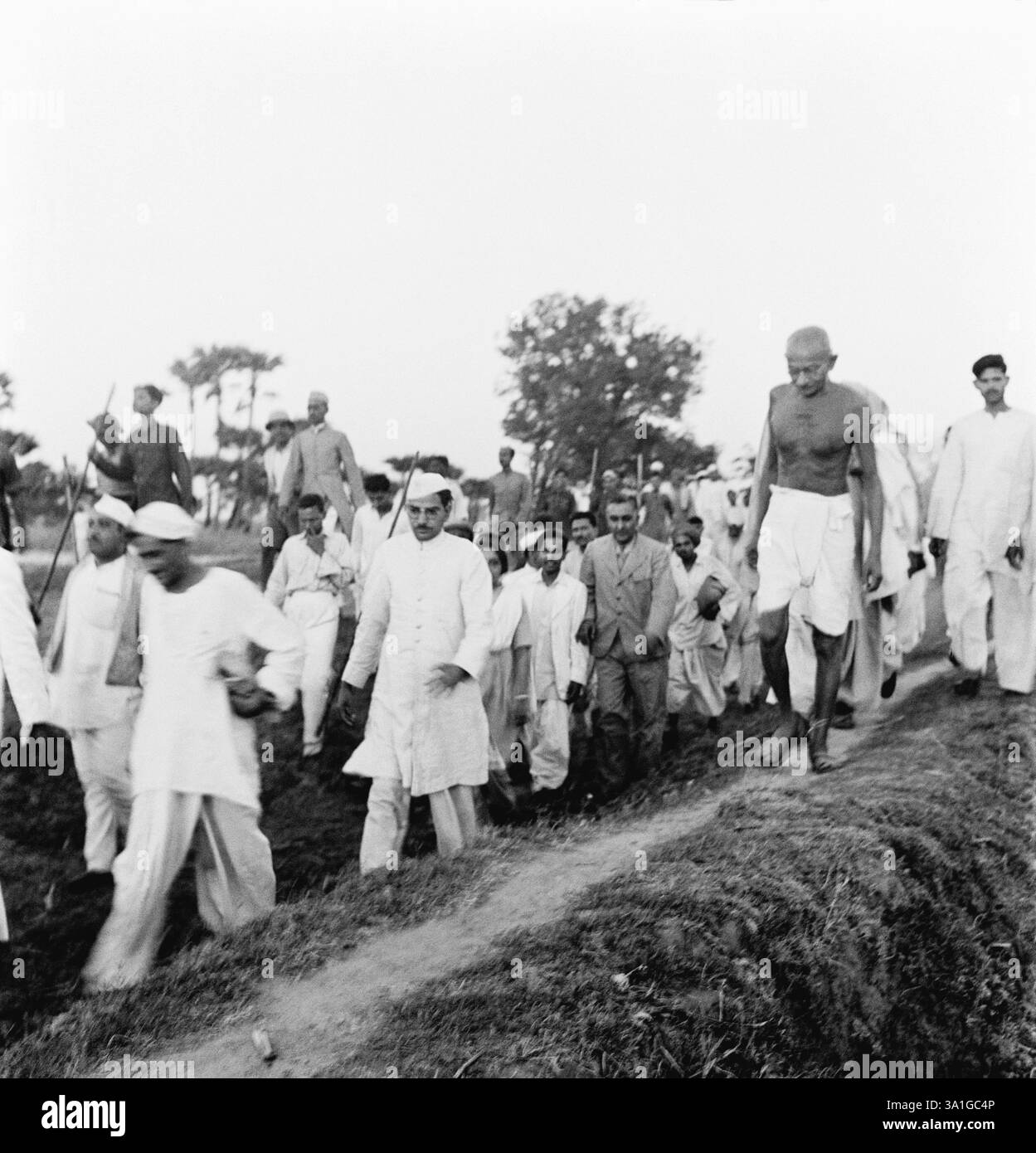 Mahatma Gandhi und andere gehen durch offene Felder in den von Aufständen heimgesuchten Gebieten von Bihar, 1947, Indien KEIN MR Stockfoto