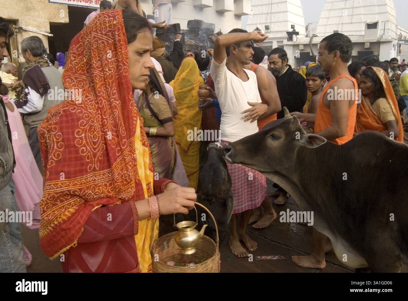 Anhänger im Tempel von Baba Baidyanath, einer der zwölf Jyotirlingas, Deoghar, Jharkhand, Indien, Asien Stockfoto Anhänger im Tempel von Baba Baidyanath, einer der zwölf Jyotirlingas, Deoghar, Jharkhand, Indien, Asien Stockfoto
