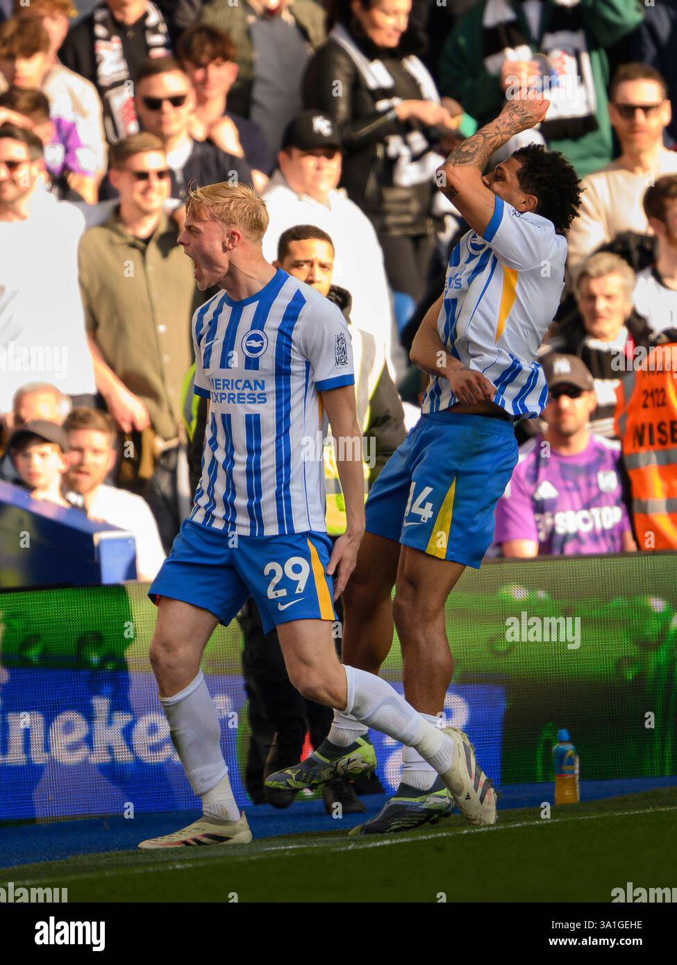 Brighton und Hove, Großbritannien. März 2025. American Express Stadium Brighton England, 8. März 2025. Jan Paul van Hecke (links) von Brighton & Hove Albion feiert den Treffer seiner Mannschaft und erzielte 1-1 Punkte während des Premier League-Fußballspiels zwischen Brighton & Hove Albion und Fulham im Falmer Stadium/American Express Stadium, England (David Horton/SPP). /Alamy Live News Stockfoto