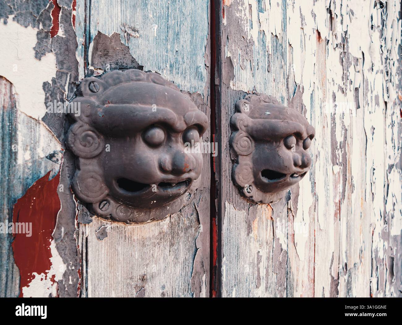 Komplizierte Löwentürklopfer zieren alte Holztüren, die Anzeichen historischer Abnutzung zeigen. Stockfoto