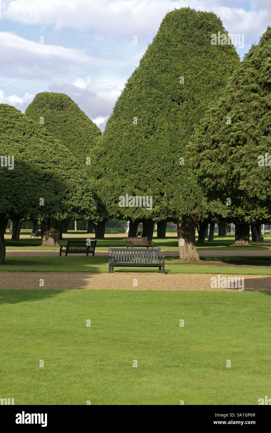 Pfad zwischen Gras, Großbritannien Großbritannien England Stockfoto