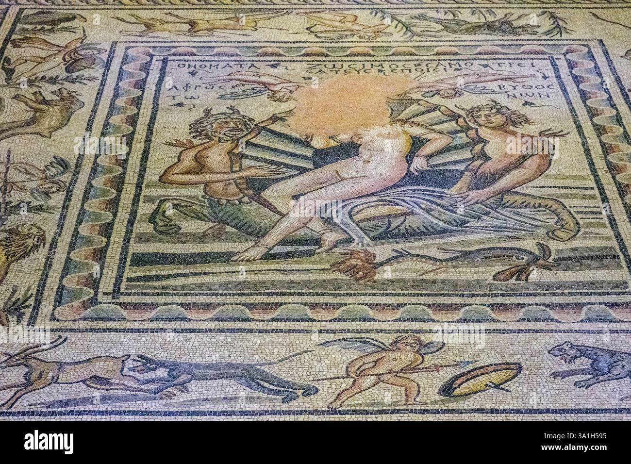 Gaziantep, Türkei, Turkiye. Zeugma Mosaic Museum, die Geburt der Venus, 2.-3. Jahrhundert n. Chr Stockfoto