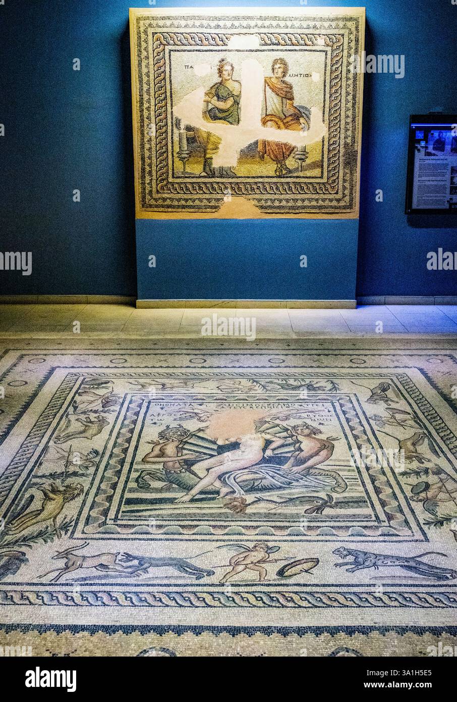 Gaziantep, Türkei, Turkiye. Zeugma Mosaic Museum, die Geburt der Venus, 2.-3. Jahrhundert n. Chr Stockfoto