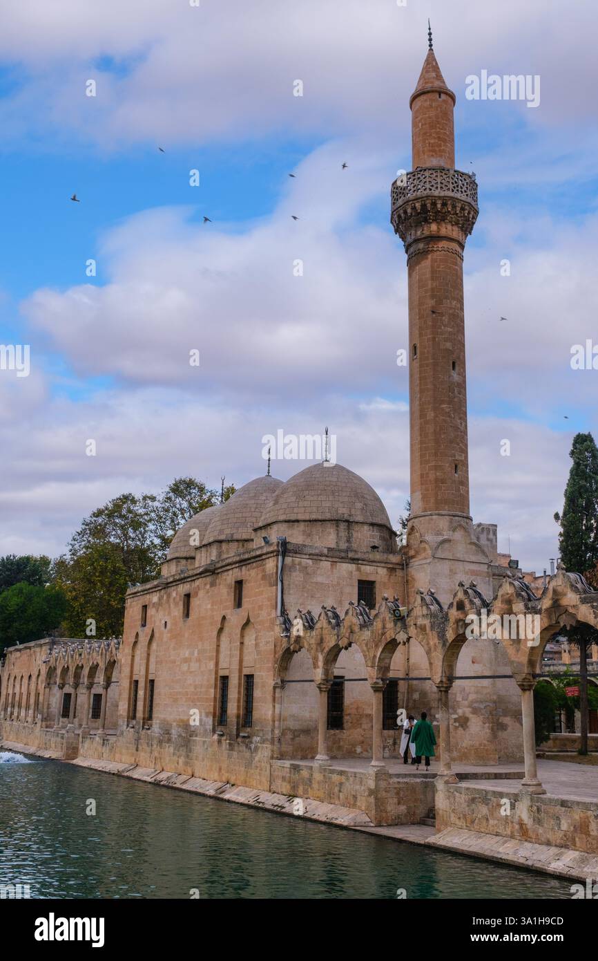 Sanliurfa, Türkei, Turkiye. Heiliger Fischteich, 15. Jahrhundert. Stockfoto