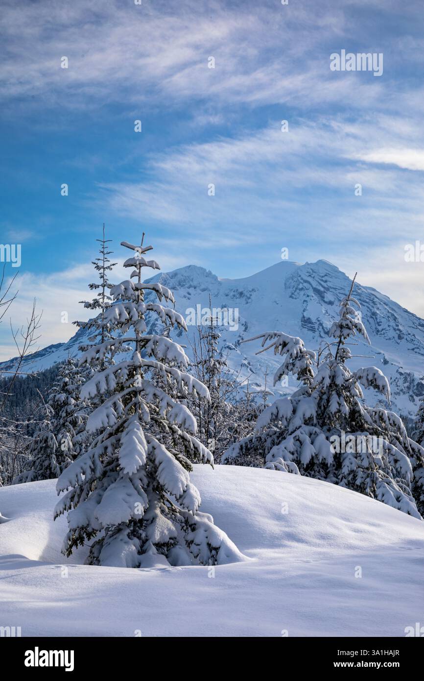 WA28167-00...WASHINGTON - am frühen Morgen flimmerte das Sonnenlicht auf dem Mount Rainer vom Vista Trail, Teil der Mount Tahioma Skipisten. Stockfoto