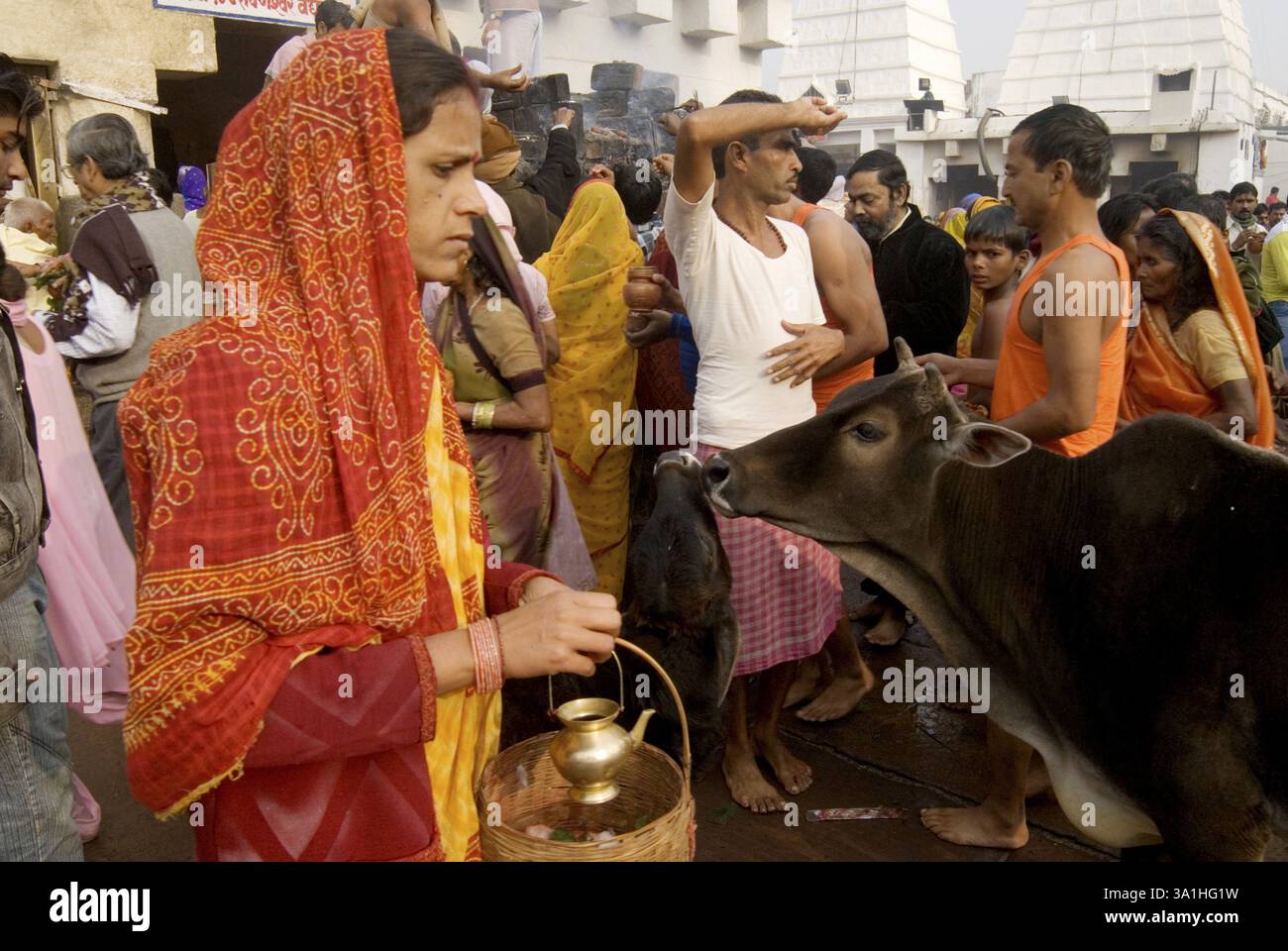 Gläubige im antiken Tempel von Baba Baidyanath sehr berühmt und zieht viele Pilger an, einer von zwölf Jyotirlingas, Deoghar, Jharkhand, Indien, Asien Stockfoto Gläubige im antiken Tempel von Baba Baidyanath sehr berühmt und zieht viele Pilger an, einer von zwölf Jyotirlingas, Deoghar, Jharkhand, Indien, Asien Stockfoto