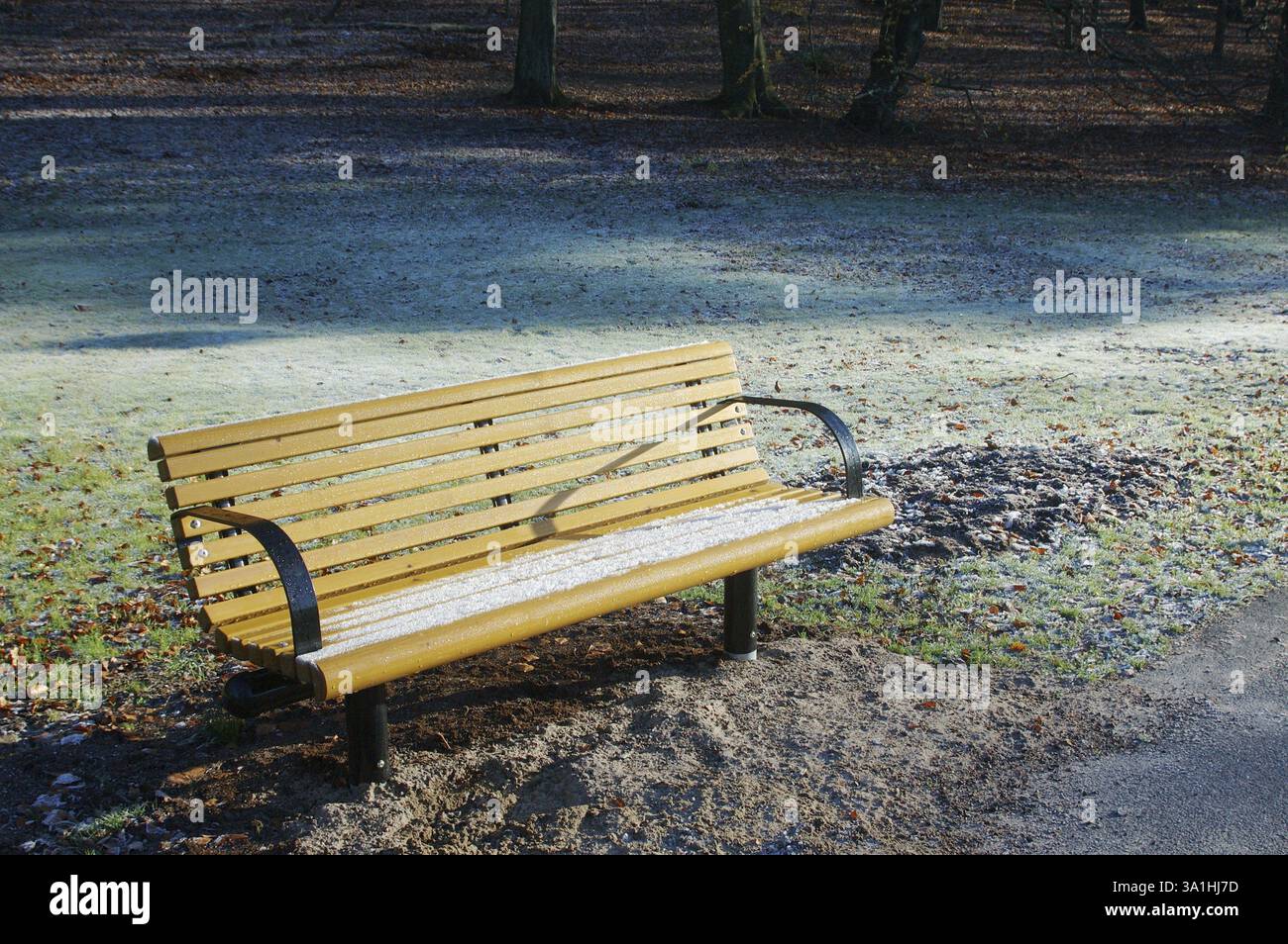 Holzbank im Park mit dem Frost drauf, Frost auf dem Gras, Wintermorgen, Slottskogen, Linn? Stad, Göteborg, Schweden, Europa Stockfoto