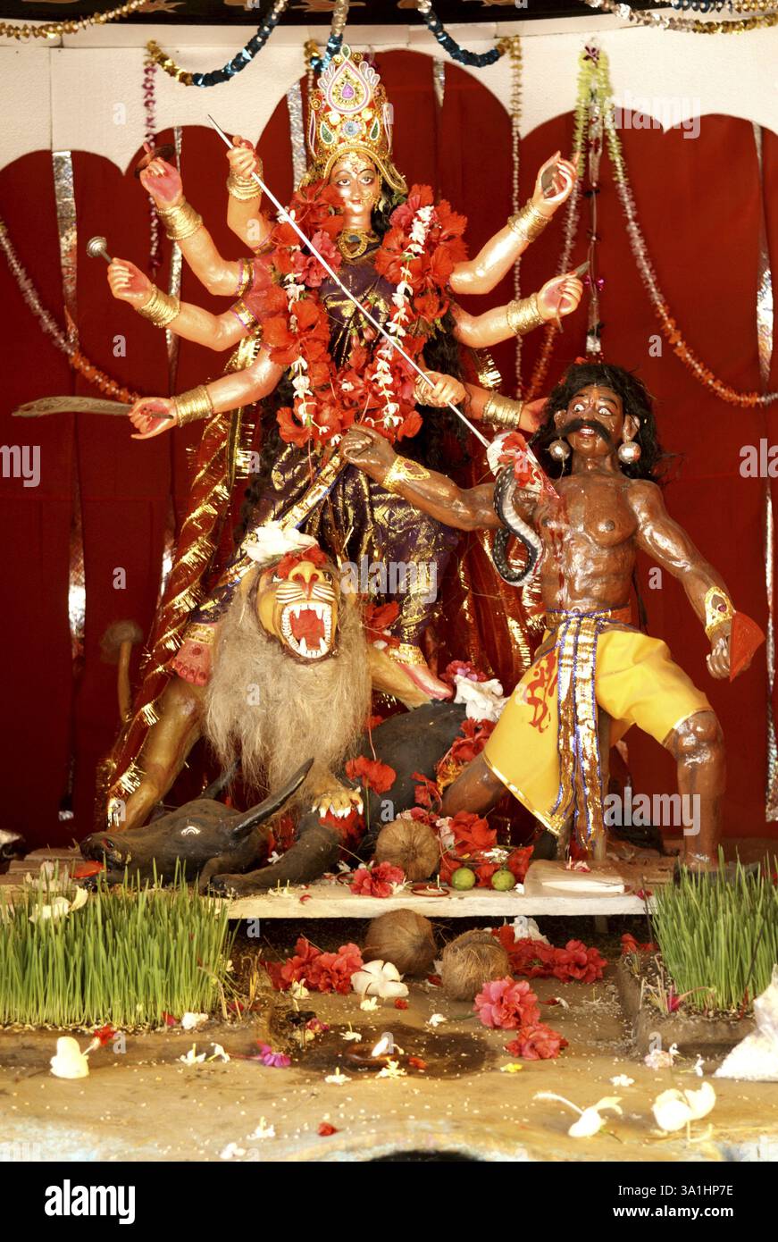 Statue der Göttin kali, die den Dämon tötet, Carm Daksh, Bilaspur, Chhattisgarh, Indien, Asien Stockfoto
