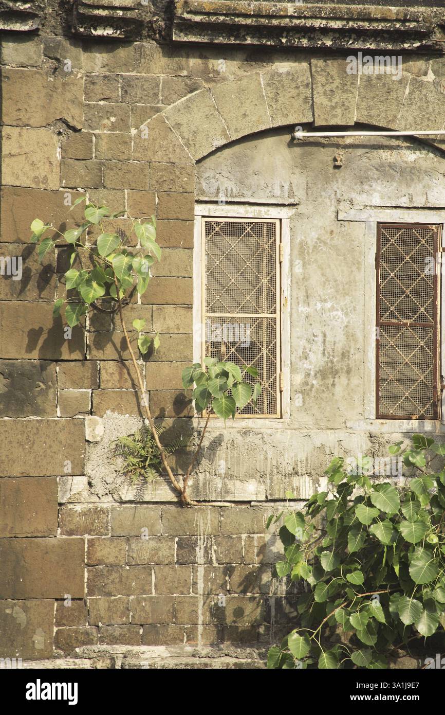 Altes Gebäude Kamla niwas, DR. Dadasaheb Bhadkamkar Road, Grant Road, Bombay Naw Mumbai, Maharashtra, Indien, Asien Stockfoto