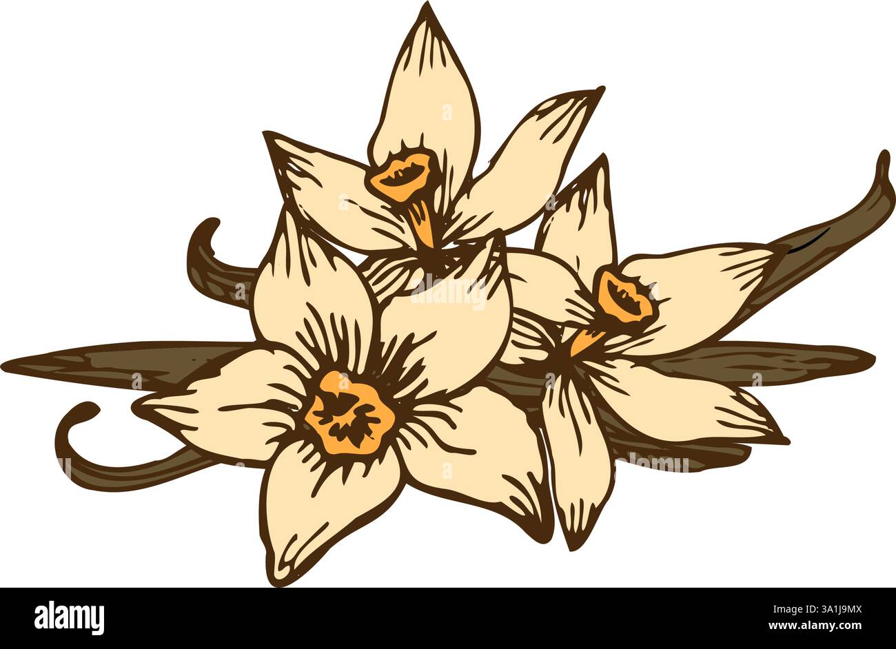 Handgezeichneter Vektor von Vanilleblüten und -Stäbchen. Minimalistische Liniengrafik für elegante, von der Natur inspirierte Produktverpackungen oder Illustrationen. Stock Vektor