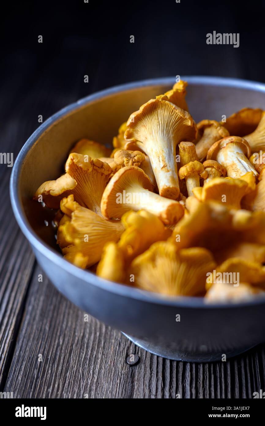Nahaufnahme von Pfifferlingen in altem Metallsieb auf einem rustikalen Holztisch. Lebensmittelfotografie Stockfoto