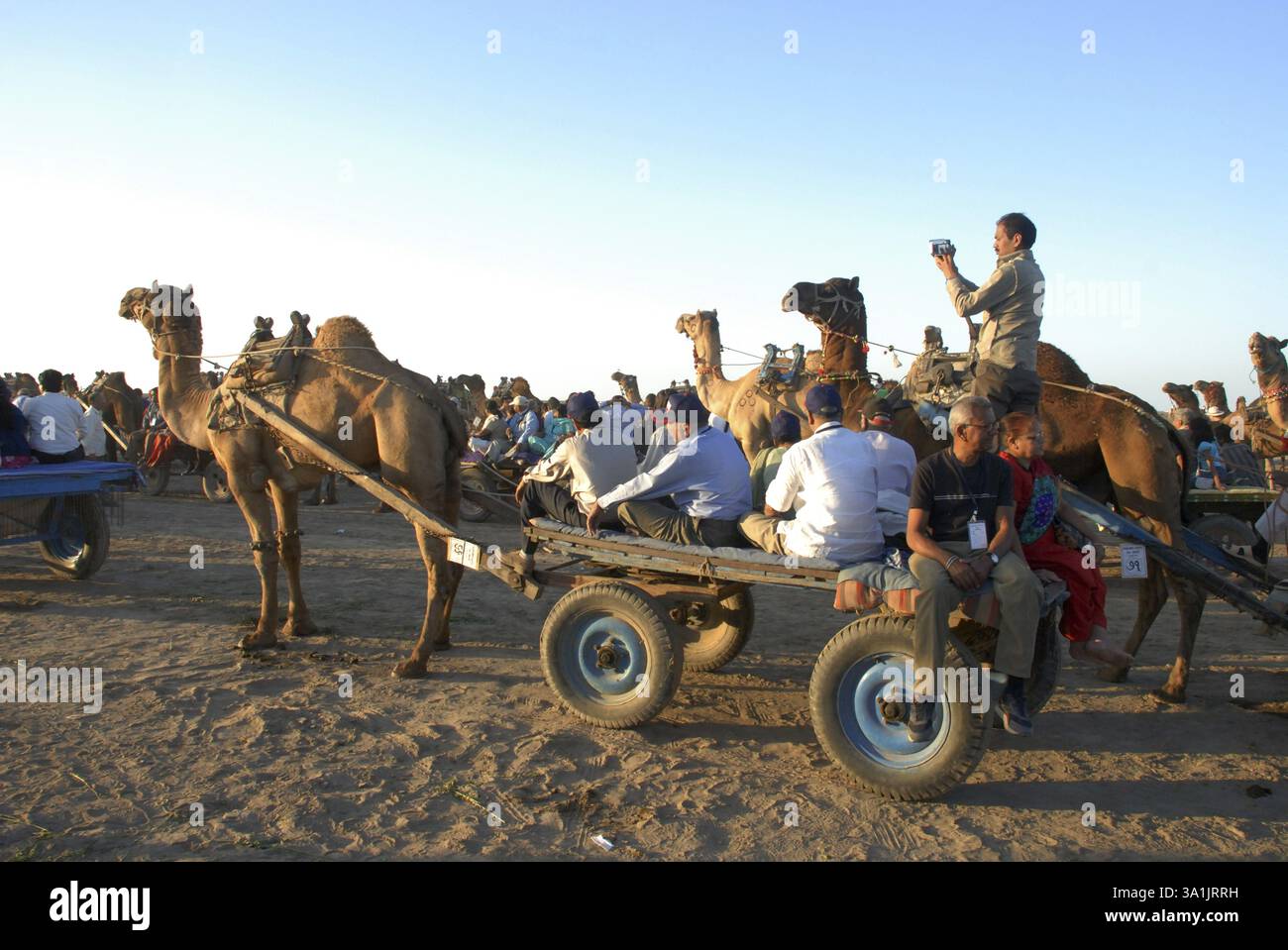 Rann Safari, Kutch, Gujarat, Indien, Asien Stockfoto