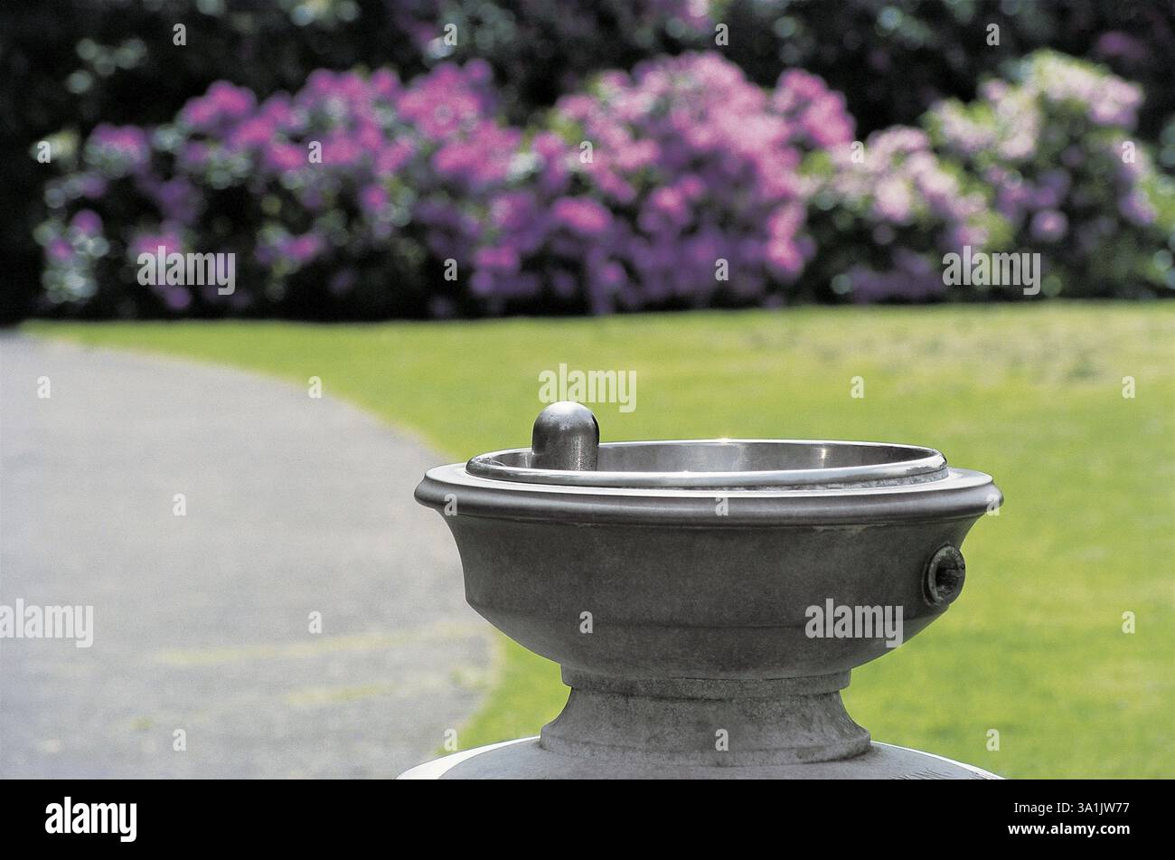 Pot, London, Großbritannien, Vereinigtes Königreich England Stockfoto