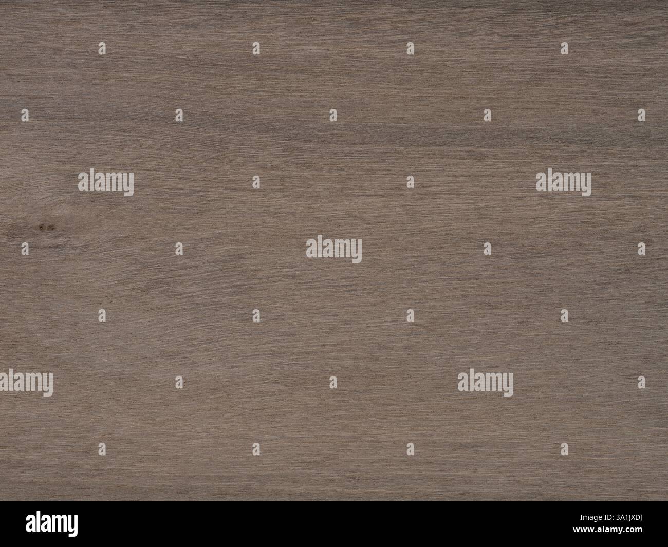 Geflammte Eukalyptusfurnierholz-Textur in Nahaufnahme Stockfoto