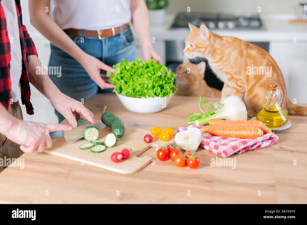 Ein junges Paar mit einer Katze in der Küche bereitet Frühlingsgrünen Salat vor. Sommer gesunde Ernährung Stockfoto