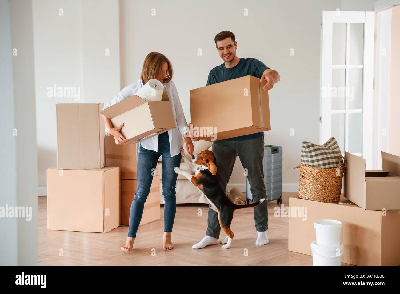 Mit Boxen vorwärts gehen. Ein junges Paar mit Hund zieht in ein neues Zuhause. Stockfoto