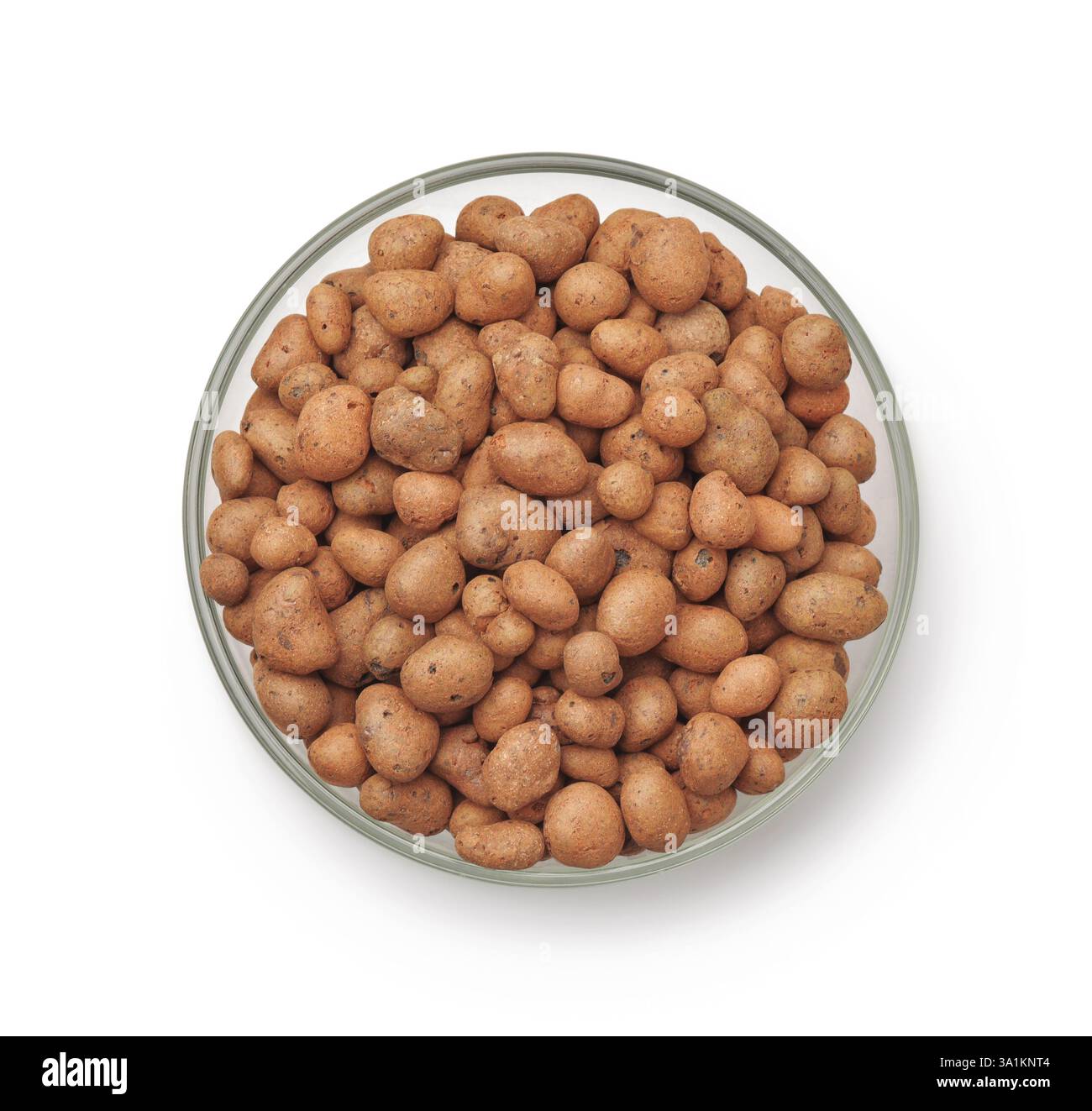 Draufsicht auf expandierte leichte Tonkiesel in einer Glasschale isoliert auf weiß Stockfoto