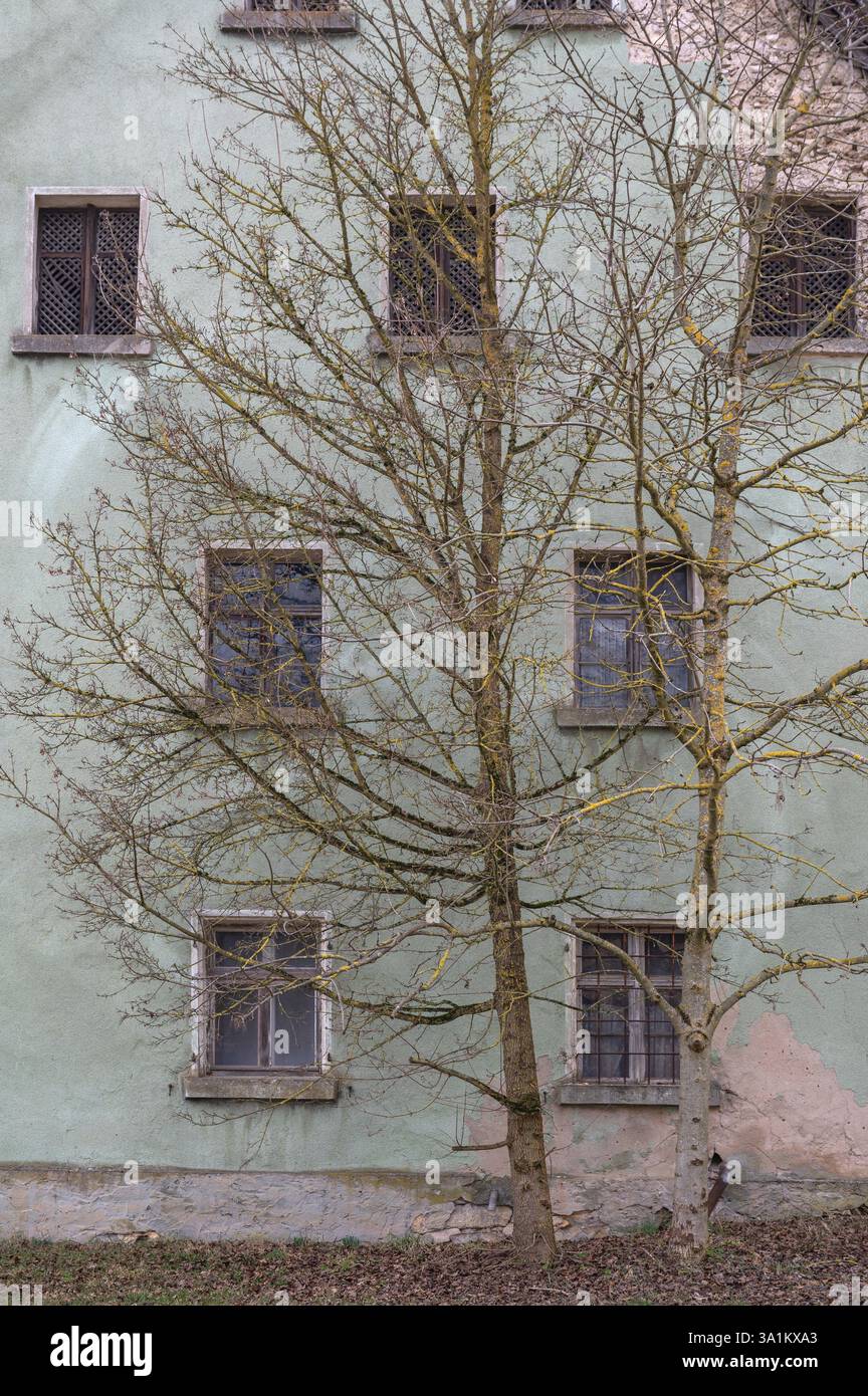 Fassade eines leerstehenden alten Bauernhauses, Detail, Karsberg, Oberfranken, Bayern, Deutschland, Europa Stockfoto