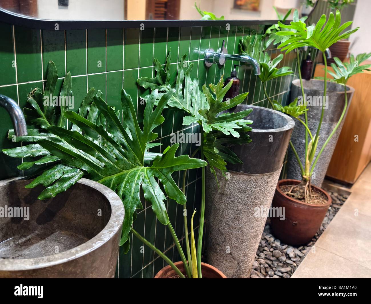 Die Kombination aus Waschbecken aus Stein, grünen Fliesenwänden und tropischen Pflanzen von Philodendron Stockfoto