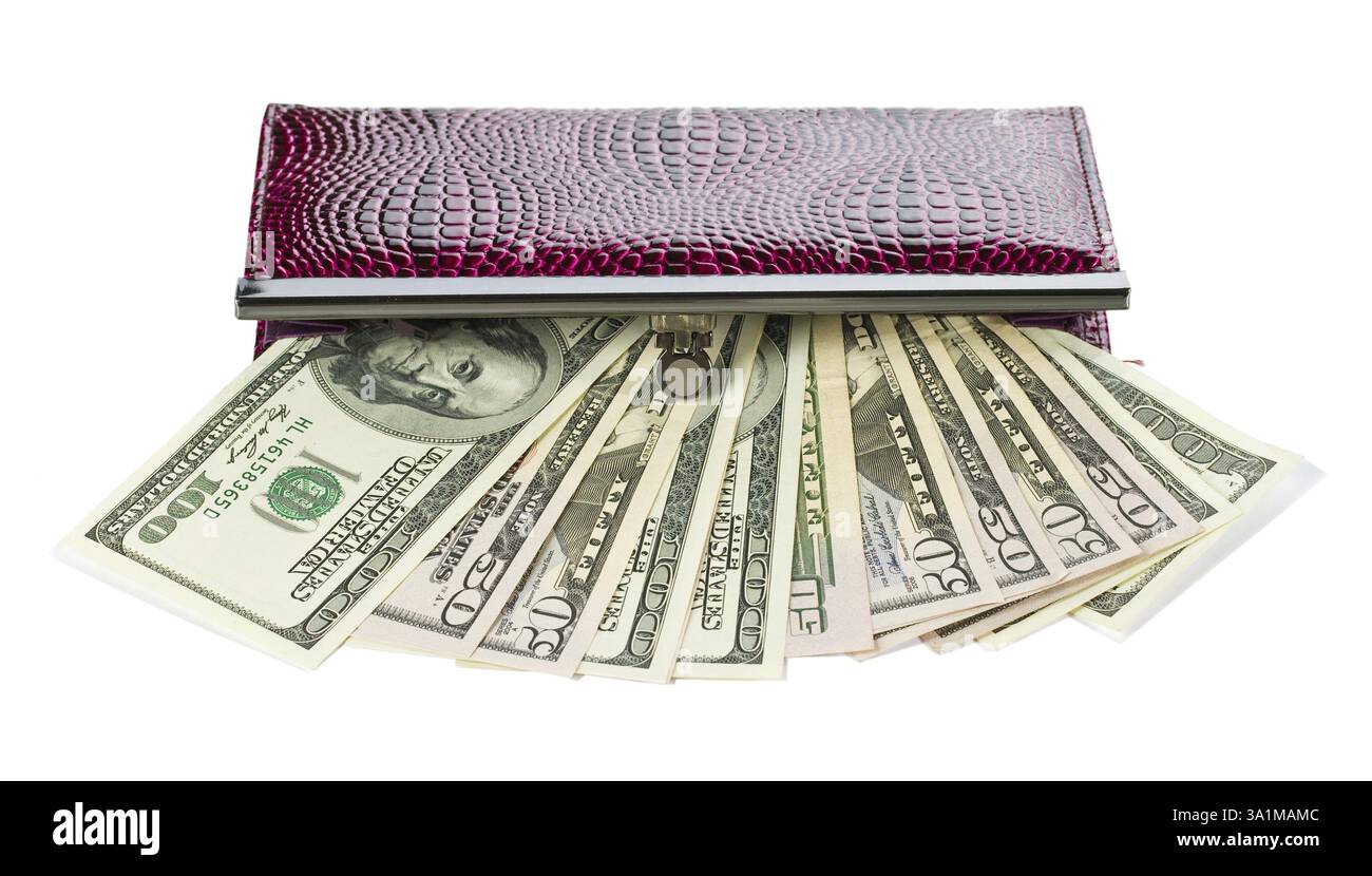 Geöffnete Geldbörse mit Dollar Stockfoto