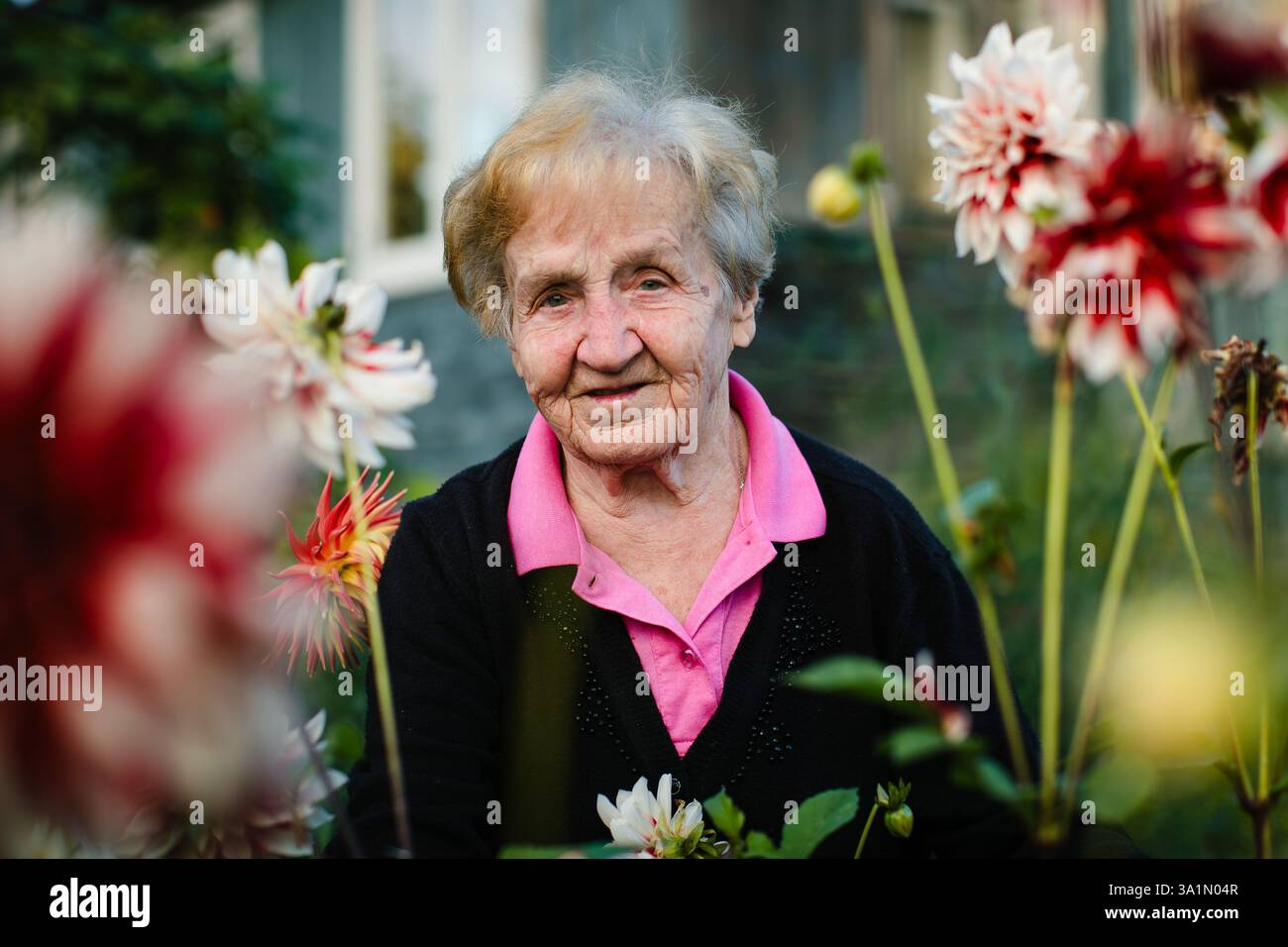 Ein Porträt einer älteren Frau in einem Garten, umgeben von blühenden Blumen, strahlend Wärme und Gelassenheit in einer natürlichen Umgebung. Stockfoto