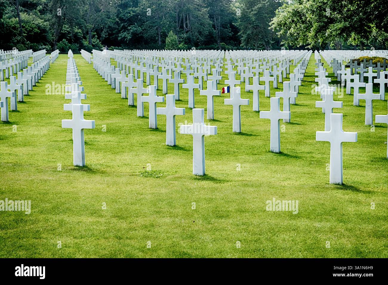 Weiss Local Invasion Tausende von weißen Kreuzen bedecken den Boden auf dem Gedenkfriedhof ...