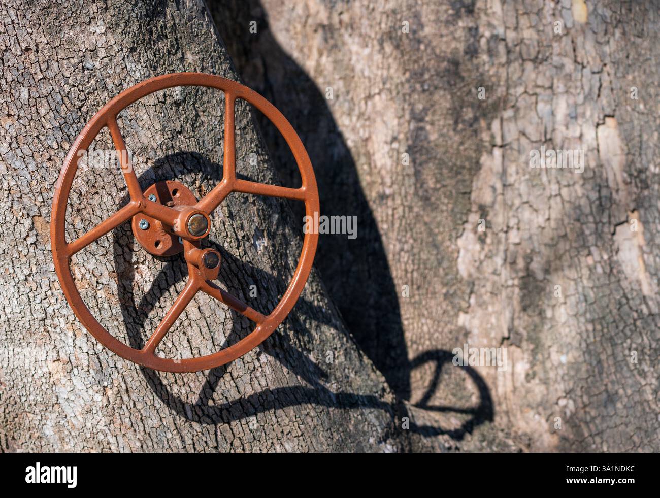 Urban Engineering – Braunes Ventil auf alter Baumkruste Stockfoto